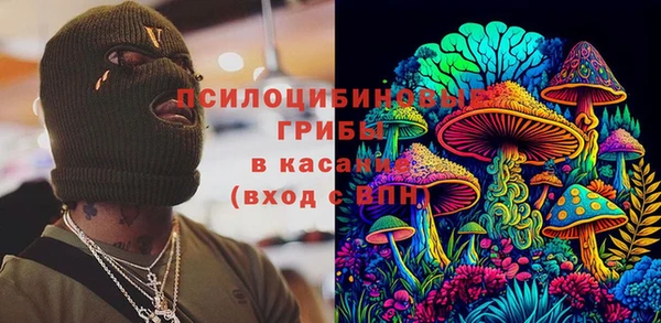 соль ск Алексин
