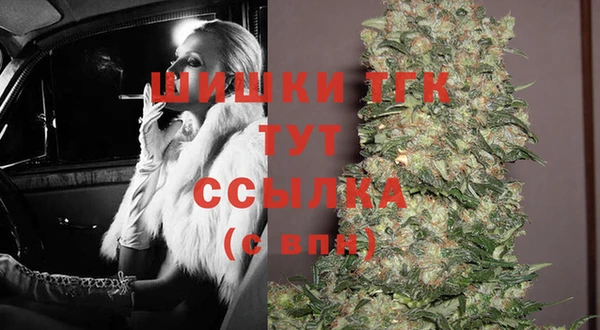 сатива Алзамай