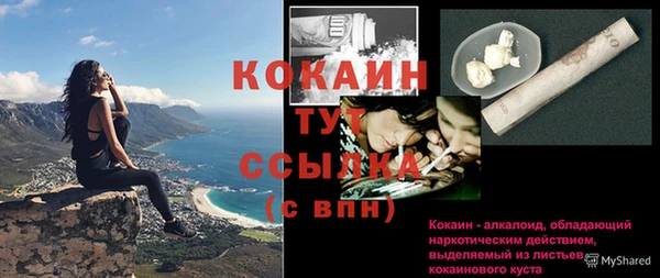 соль ск Алексин